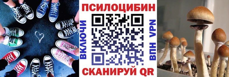 Купить  Гуково  Галлюциногенные грибы MAGIC MUSHROOMS 